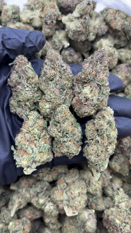 Purple Gas