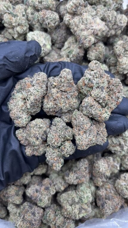 Blue Nerds
