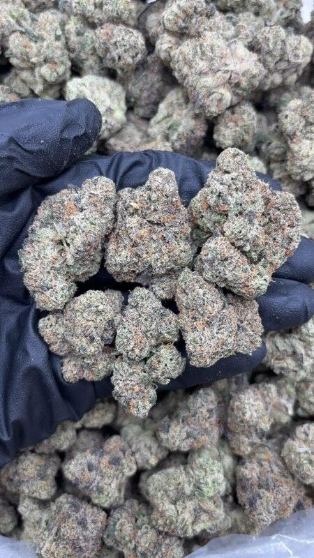 Blue Nerds