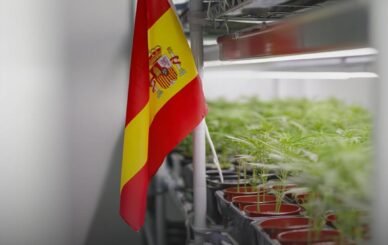 Spain approves medical