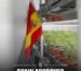 Spain approves medical