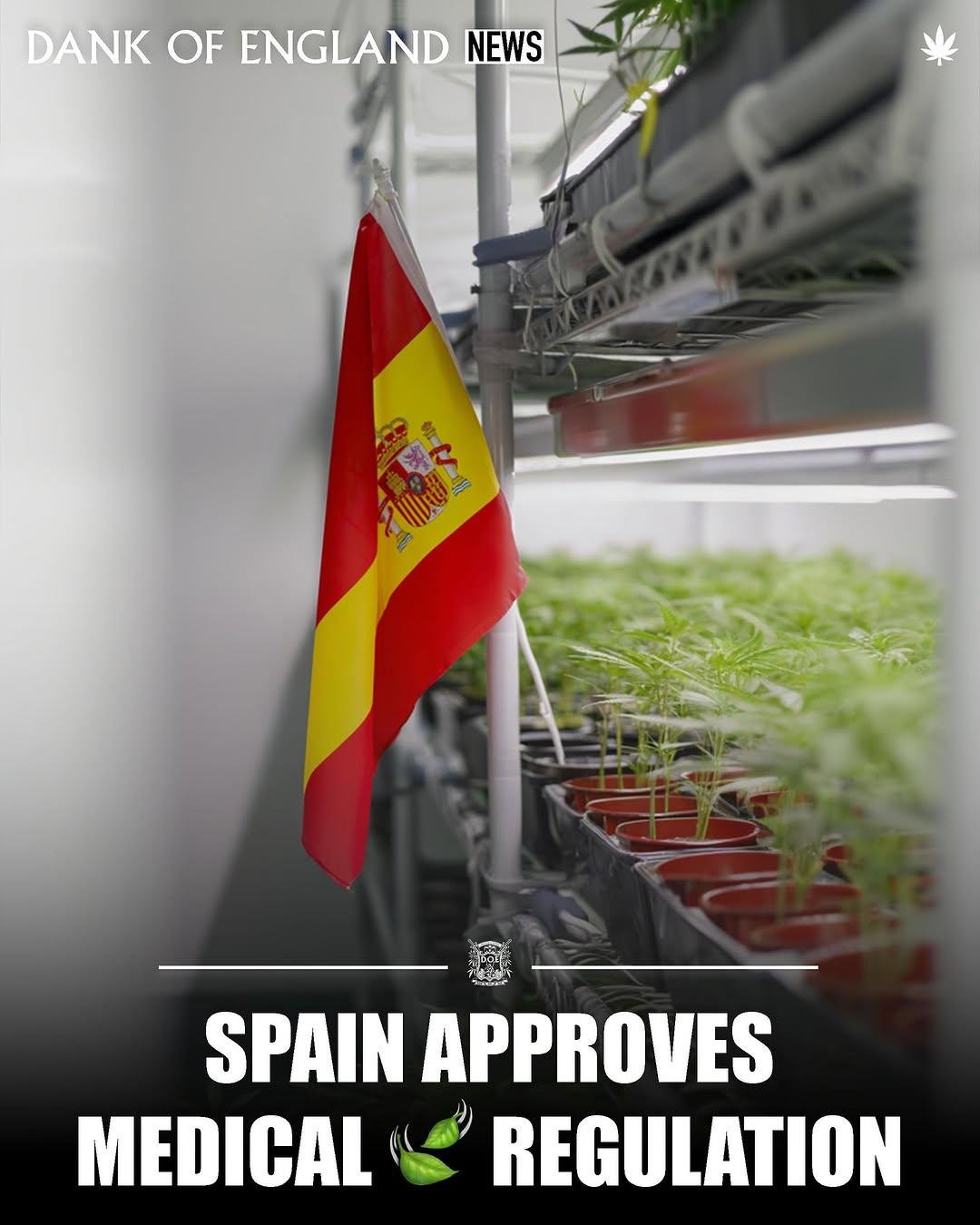 Spain approves medical
